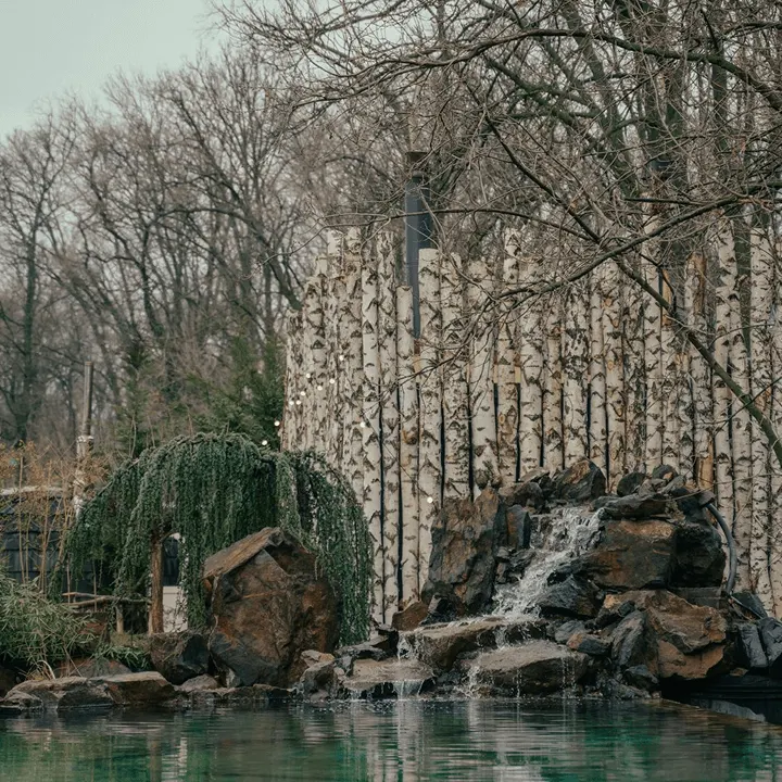 Forest